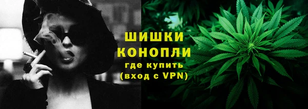 тгк Лиски
