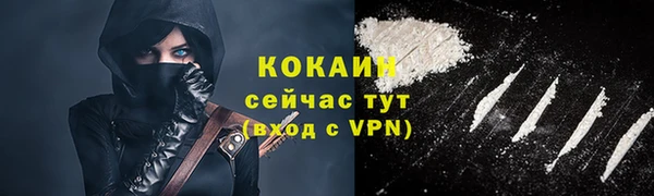 тгк Лиски