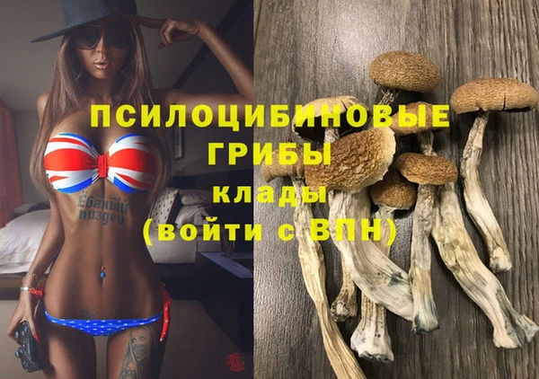 тгк Лиски
