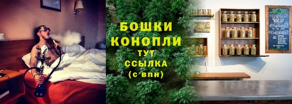 тгк Лиски